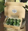 Caja de aguacates